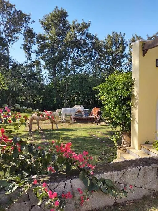 Willa Haras San Gregorio Florianópolis